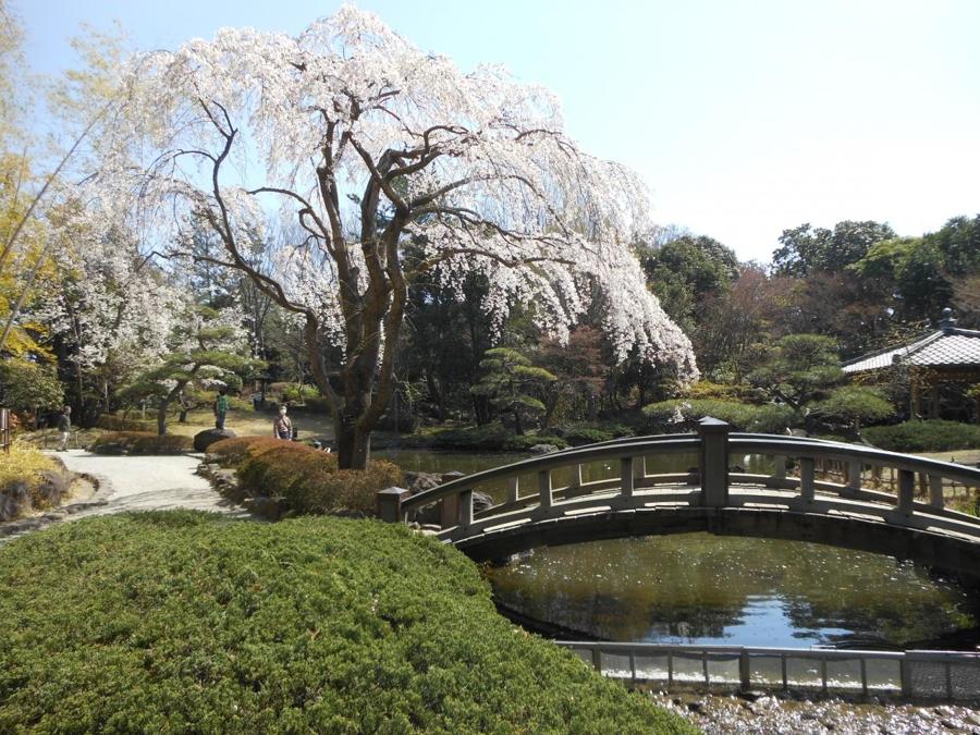 日本庭園