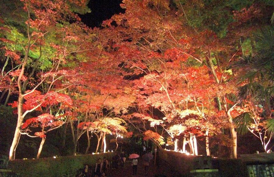 日本庭園