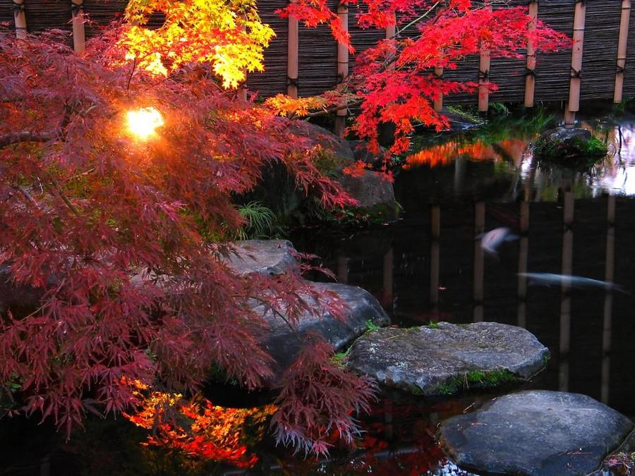 日本庭園