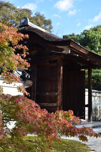 日本庭園