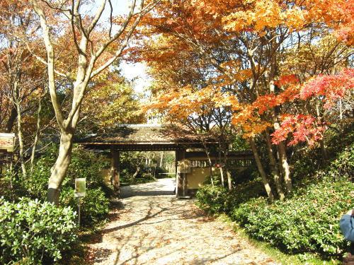 日本庭園
