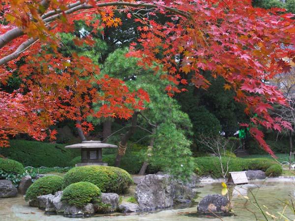 日本庭園