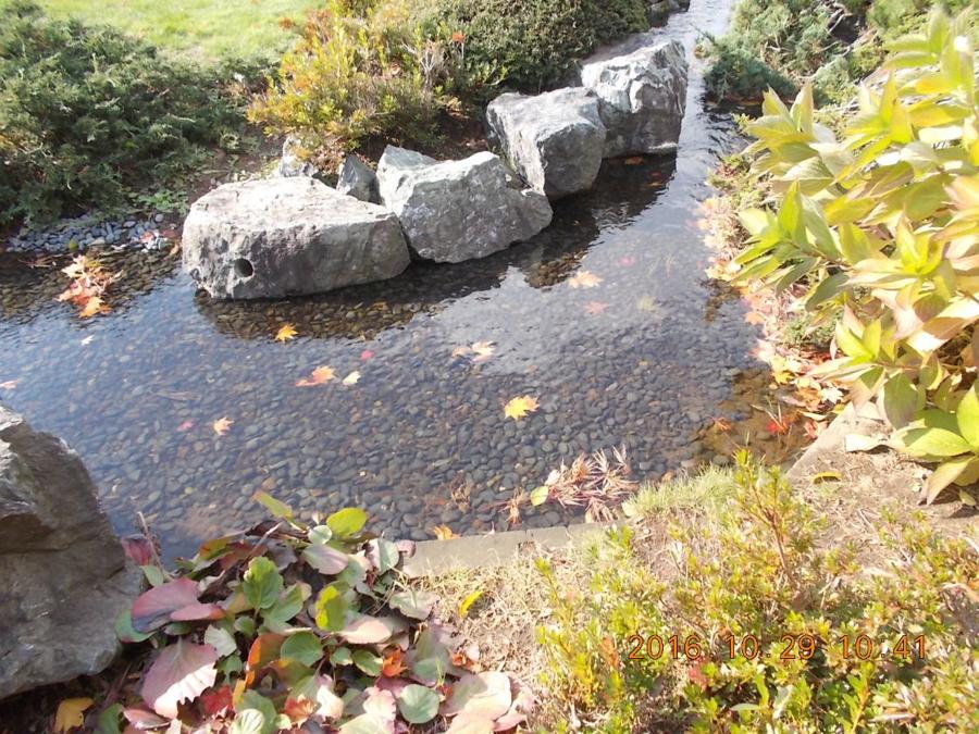日本庭園