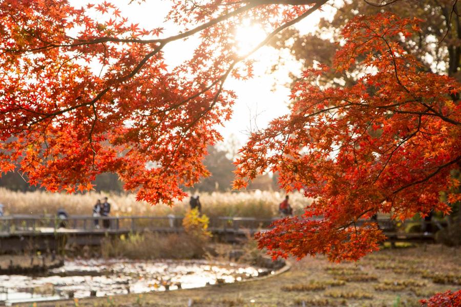 日本庭園
