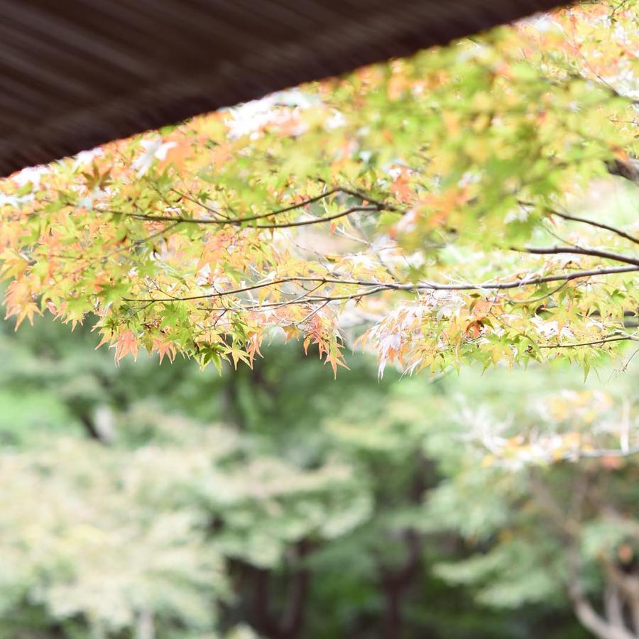日本庭園