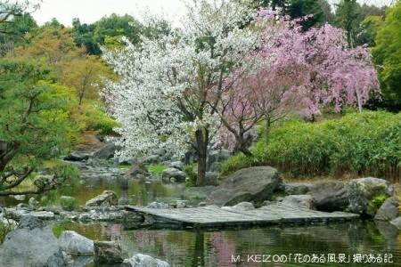 日本庭園