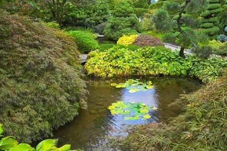 日本庭園
