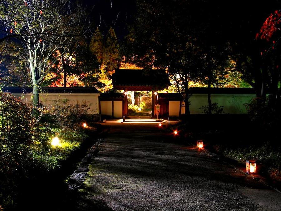 日本庭園