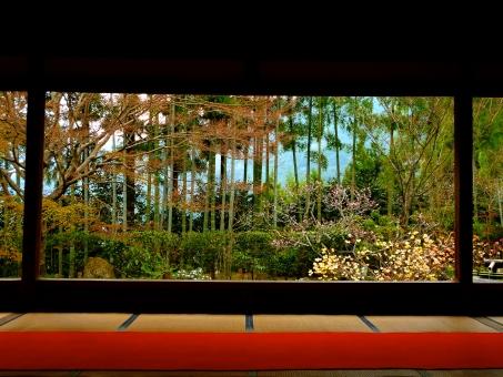 日本庭園