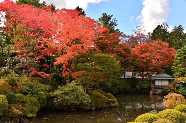 日本庭園
