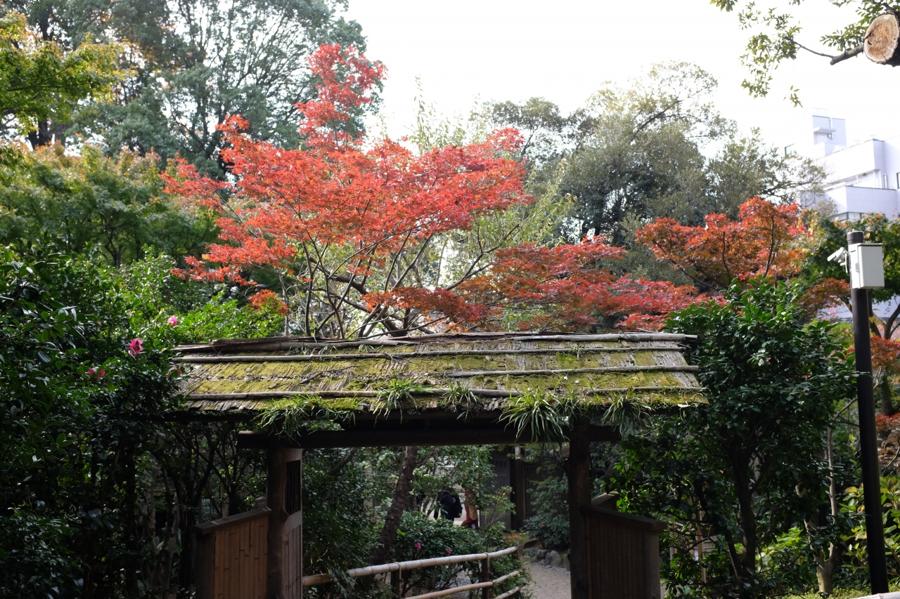 日本庭園