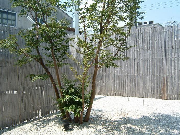 日本庭園