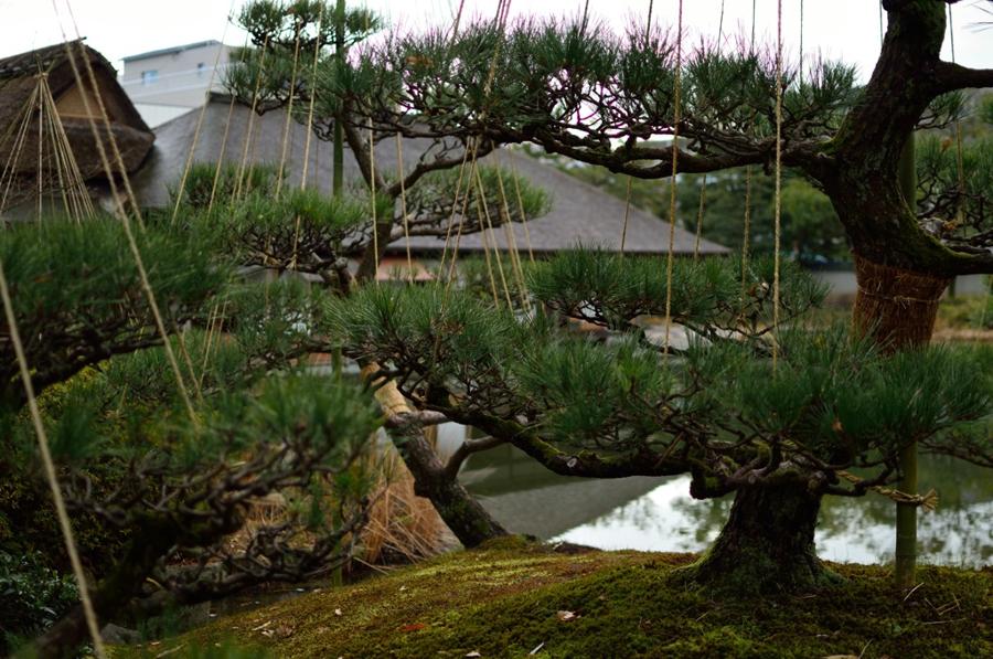 日本庭園