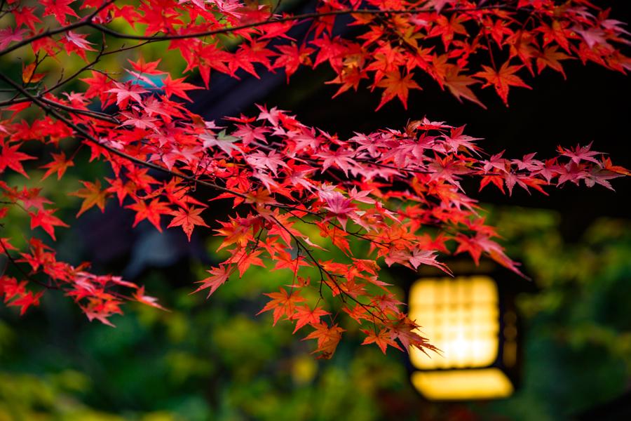 日本庭園