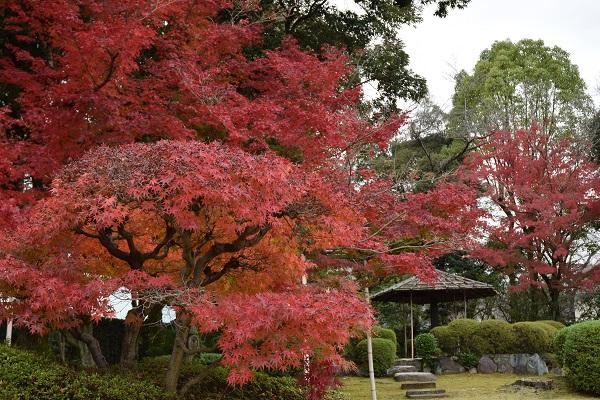 日本庭園