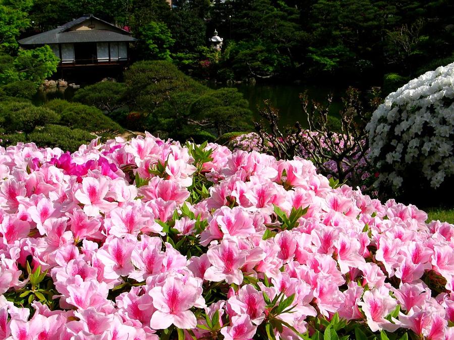 日本庭園