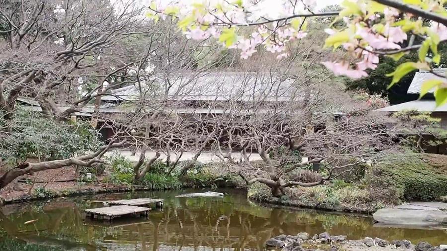 日本庭園