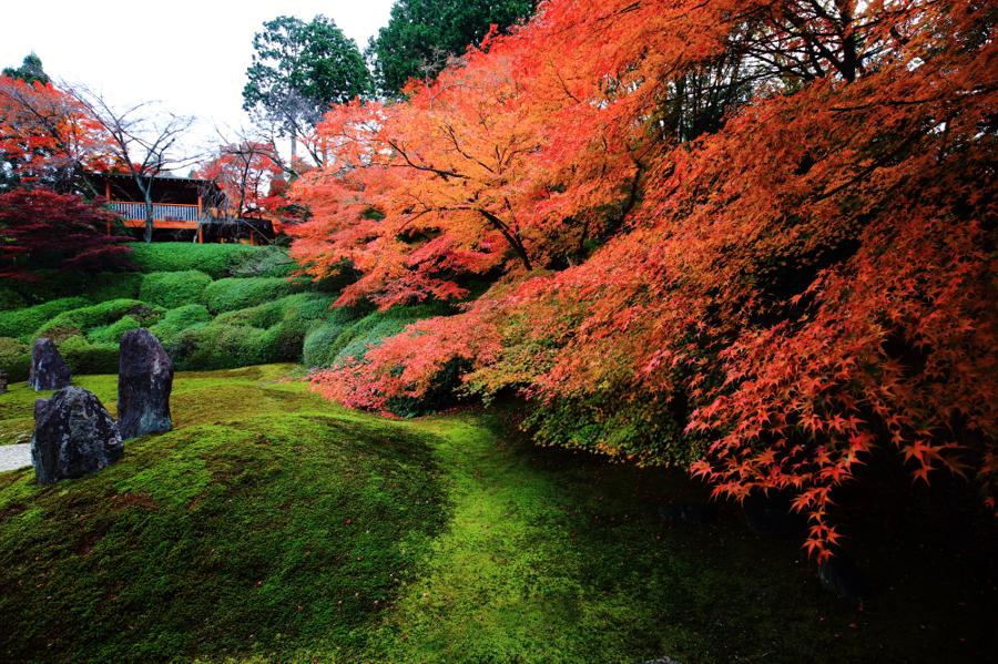 日本庭園