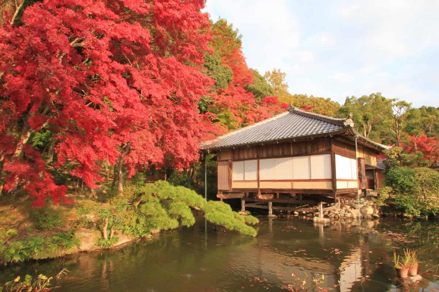 日本庭園