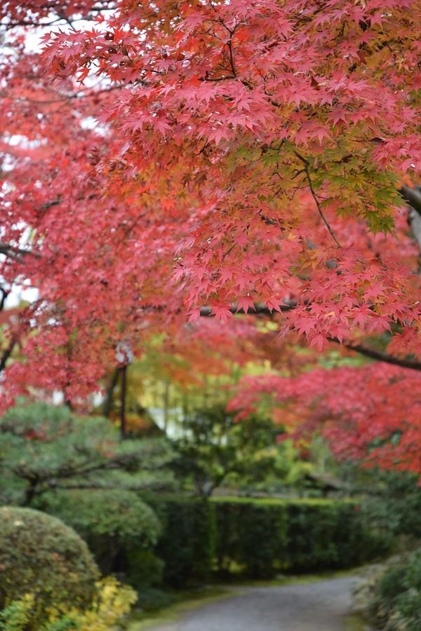 日本庭園