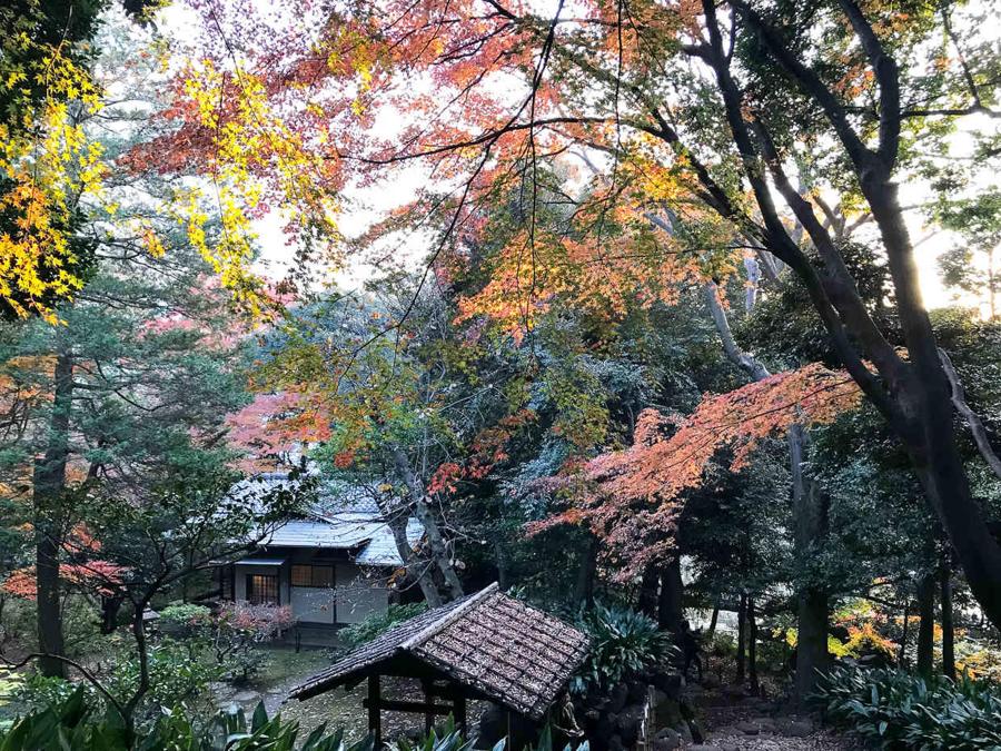 日本庭園