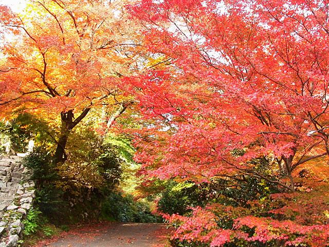 日本庭園