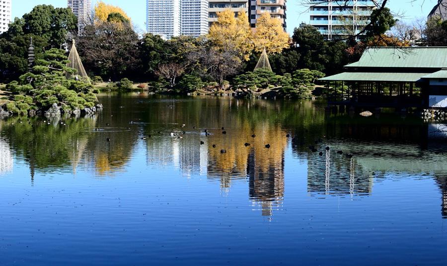 日本庭園