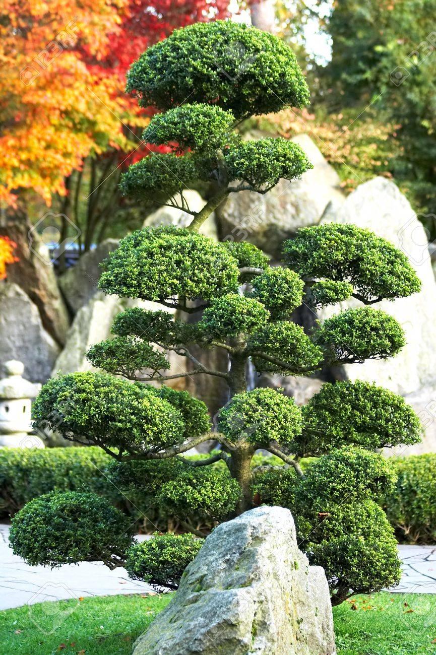 日本庭園