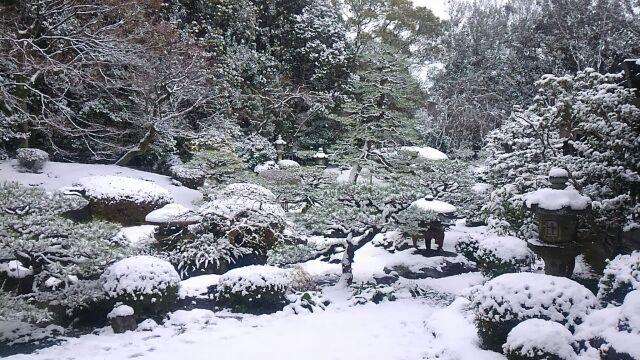 日本庭園