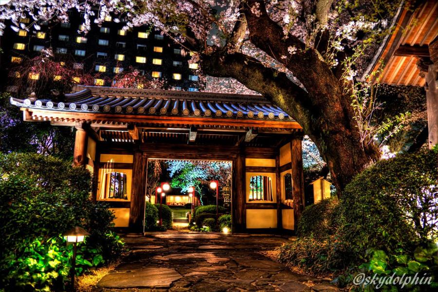 日本庭園