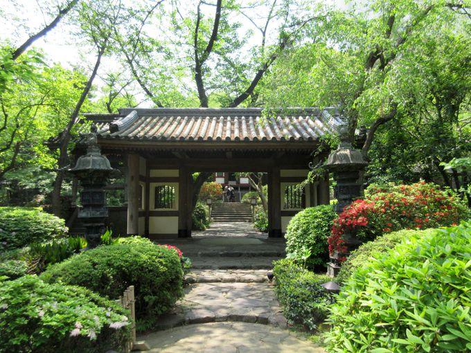 日本庭園