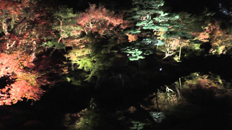 日本庭園
