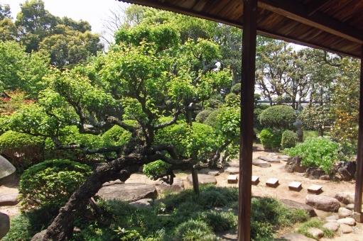 日本庭園