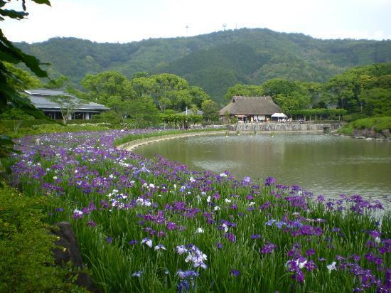 日本庭園