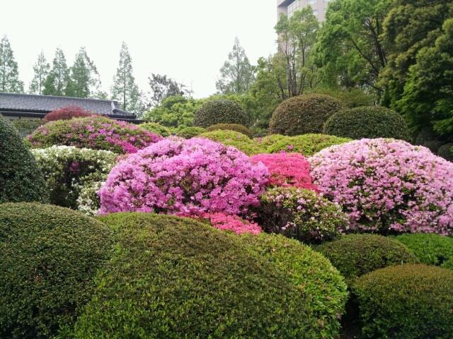 日本庭園