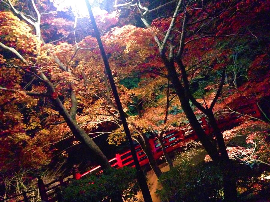 日本庭園