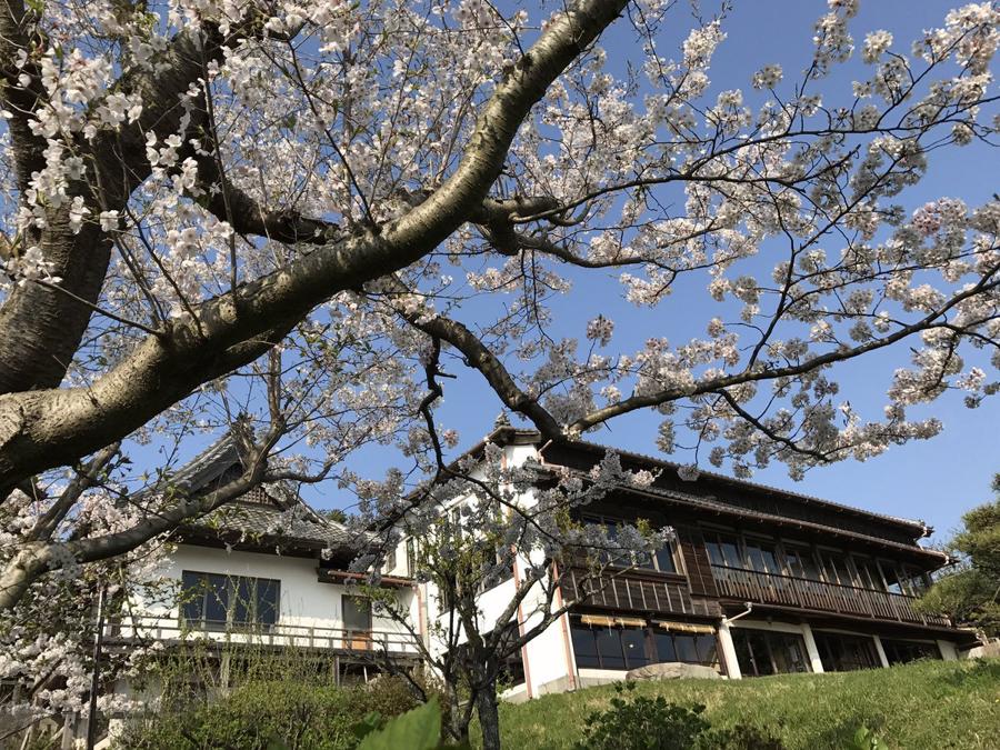 日本庭園