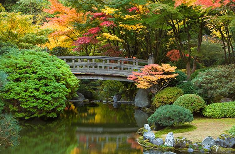 日本庭園