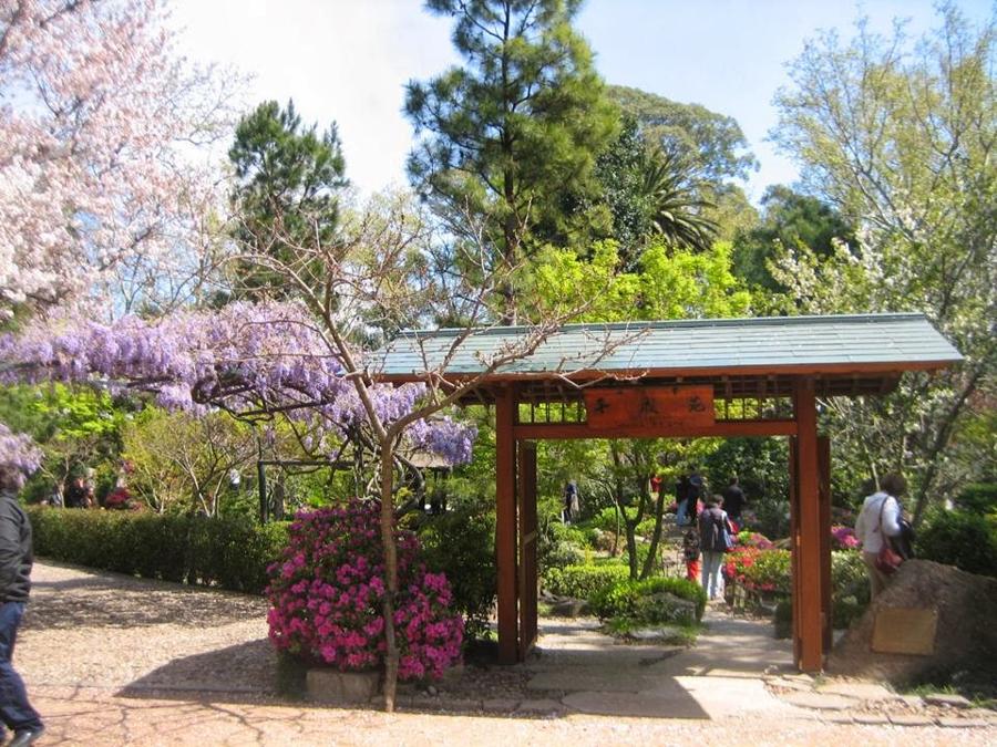 日本庭園