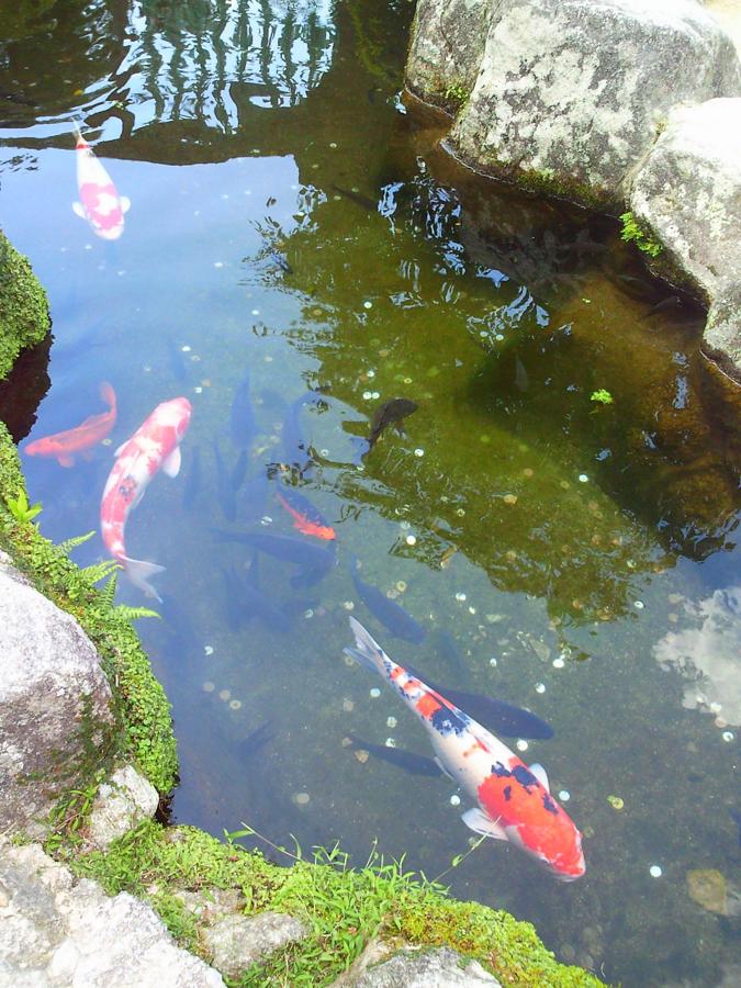 日本庭園