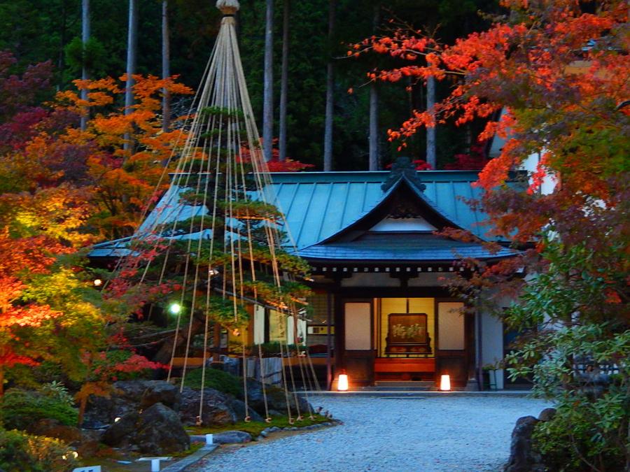 日本庭園