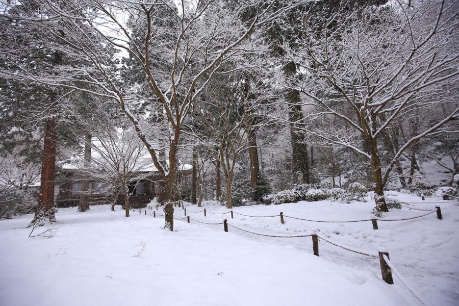 日本庭園