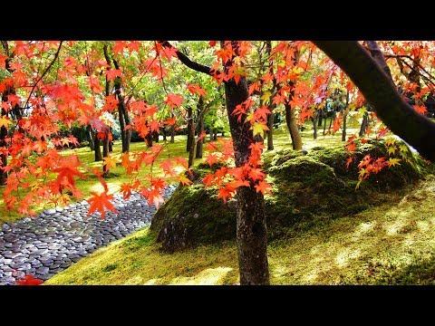 日本庭園