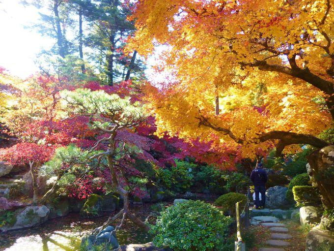 日本庭園