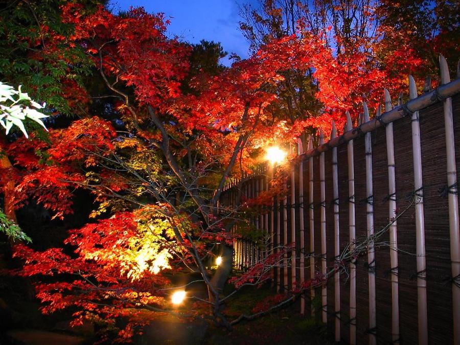 日本庭園