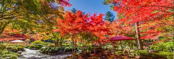 日本庭園