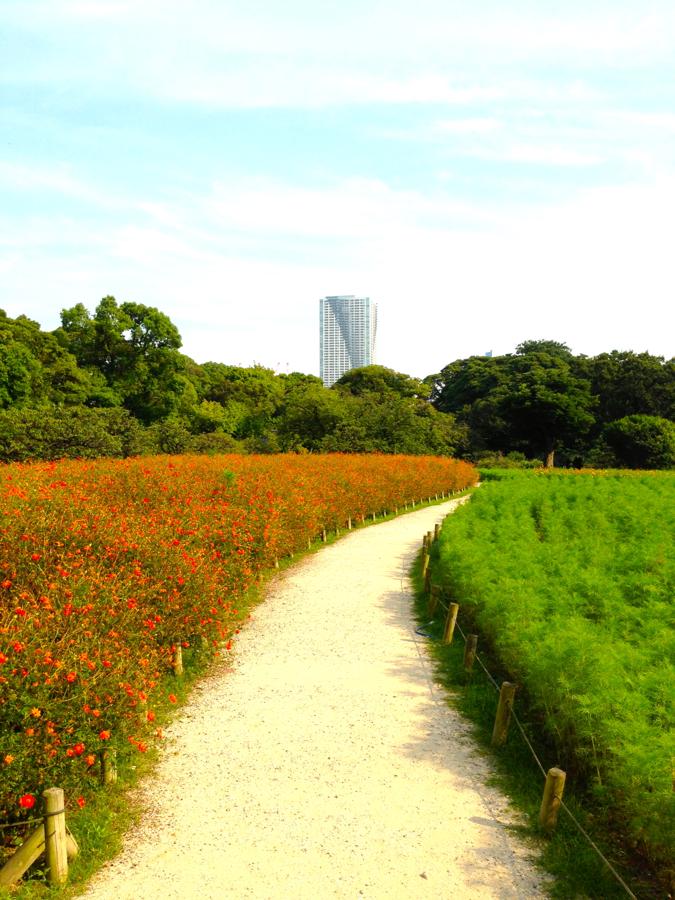 日本庭園