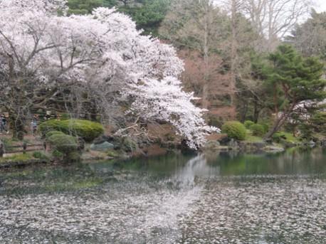 日本庭園