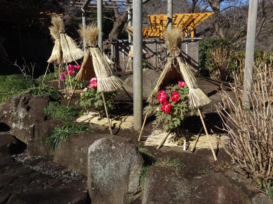 日本庭園