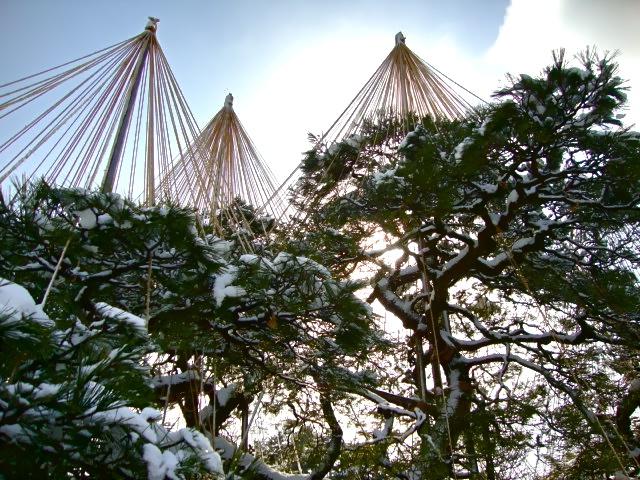 日本庭園